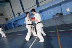 IMG_294_t1.jpg