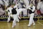 IMG_200_t1.jpg