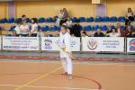 IMG_7922_t1.jpg