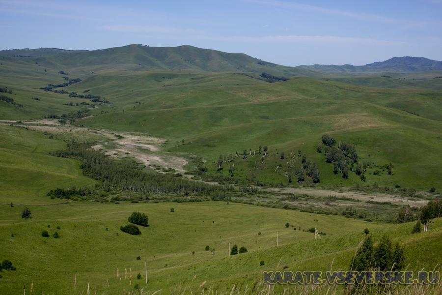 DSC_130.jpg