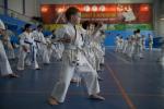 Нажмите для просмотра IMG_260_t1.jpg