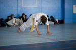 IMG_292_t1.jpg